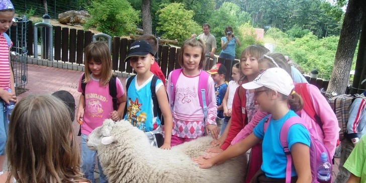 Letný tábor Dobrodružstvo na priehrade alebo ActionTeenCamp