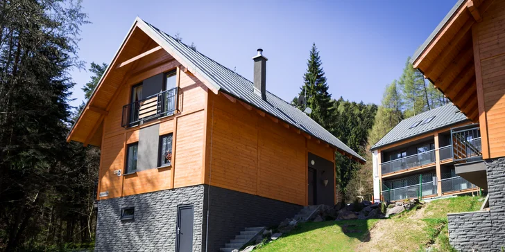Luxusná chata pre 9 až 14 osôb s 50% zľavou na nový špičkový wellness v Penzióne Ferrata*** pod Martinskými hoľami