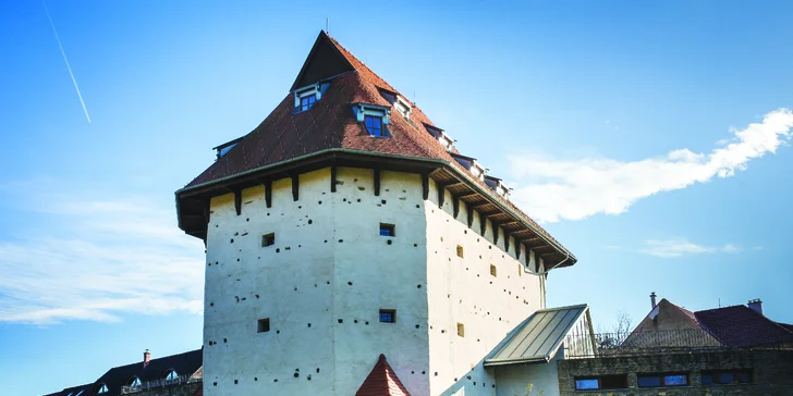 Oddych pre 2 osoby v luxusnom historickom Boutique hotel**** Pracháreň