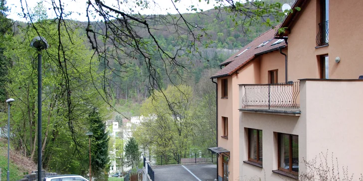 Pobyt s privátnym wellness vo Ville Carpe Diem*** v kúpeľoch Trenčianske Teplice