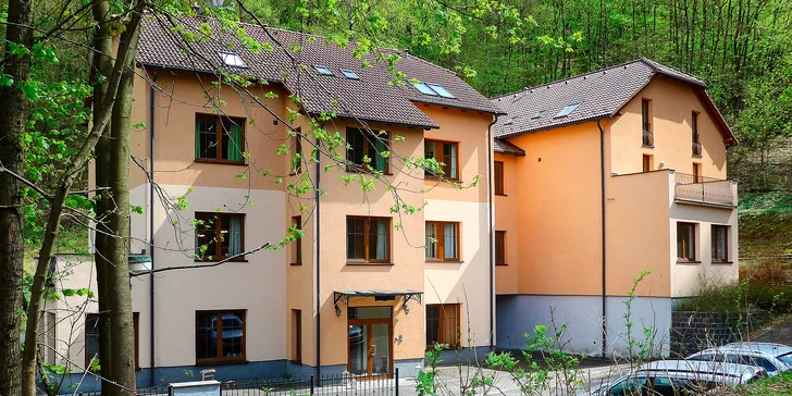 Pobyt s privátnym wellness vo Ville Carpe Diem*** v kúpeľoch Trenčianske Teplice