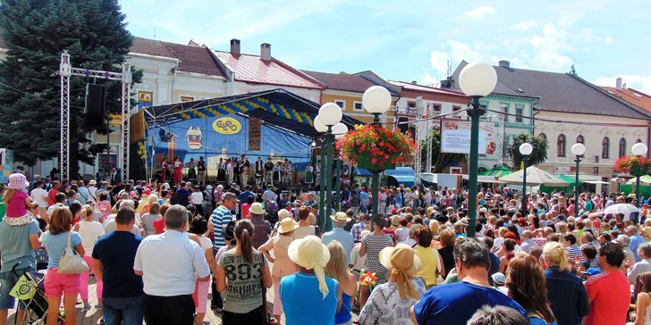 Festival Európske Ľudové Remeslo - neobmedzený vstup