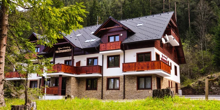 Pobyt v Jasnej - moderné, kompletne zariadené apartmány vhodné pre páry aj väčšie rodiny
