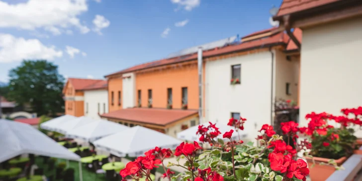 Bohatý pobyt v kežmarskom hoteli Hviezdoslav**** s neobmedzeným wellness - najpohostinnejší hotel Európy!