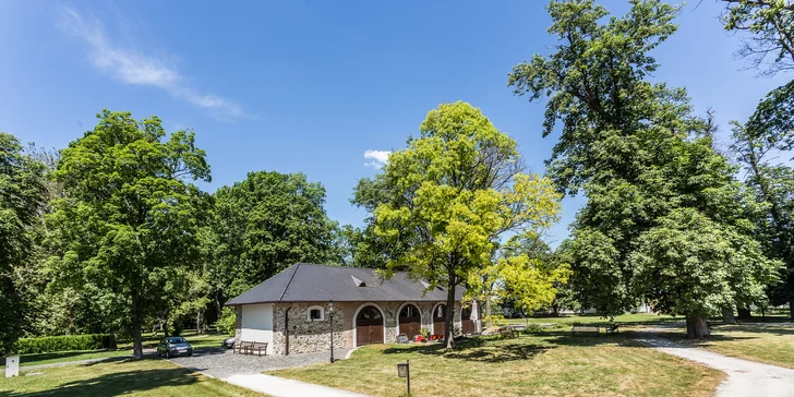 Luxusný WELLNESS & SPA pobyt v barokovom kaštieli Château Appony****