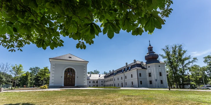 Luxusný WELLNESS & SPA pobyt v barokovom kaštieli Château Appony****