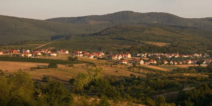 Pobyt v Maďarsku pri historickom Egere: polpenzia, wellness a 2 deti zdarma