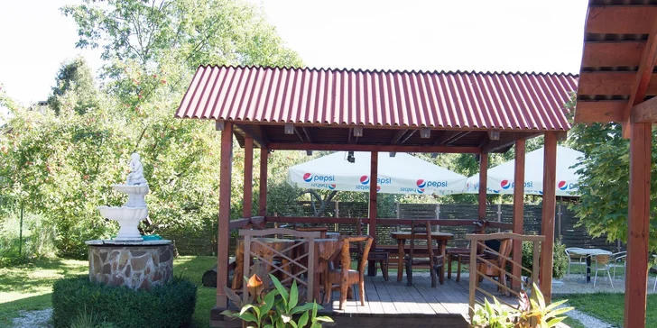 Ginger burger s hranolčekmi a cesnakovým dresingom