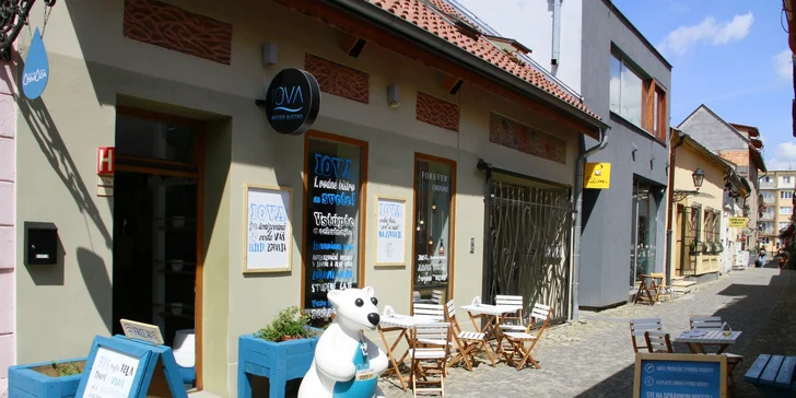 Zdravé čaje a drinky z IOVY v 1. vodnom bistre na svete