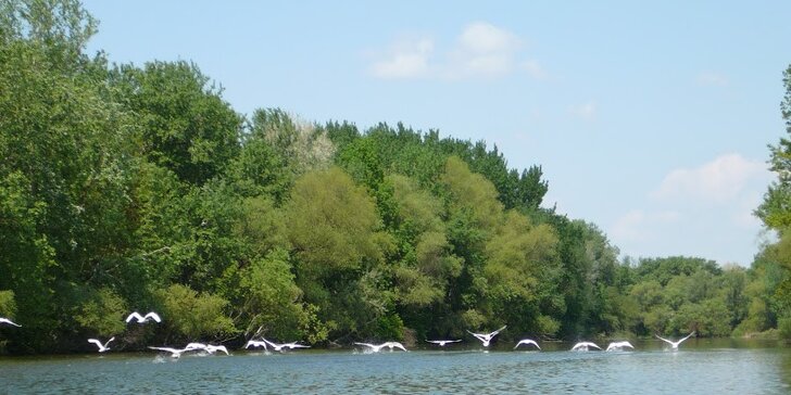Splav Malého Dunaja na kanoe + deti do 6 rokov zdarma