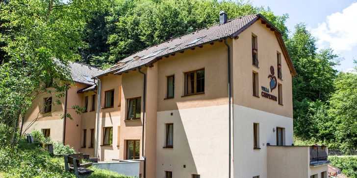 Romantický wellness pobyt vo Ville Carpe Diem*** v Trenčianskych Tepliciach