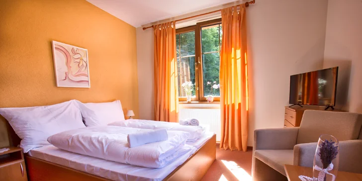 Romantický wellness pobyt vo Ville Carpe Diem*** v Trenčianskych Tepliciach