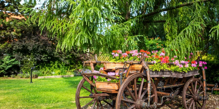 Letný Relax pobyt s deťmi alebo Romanticky wellness pobyt v Pension Barca***