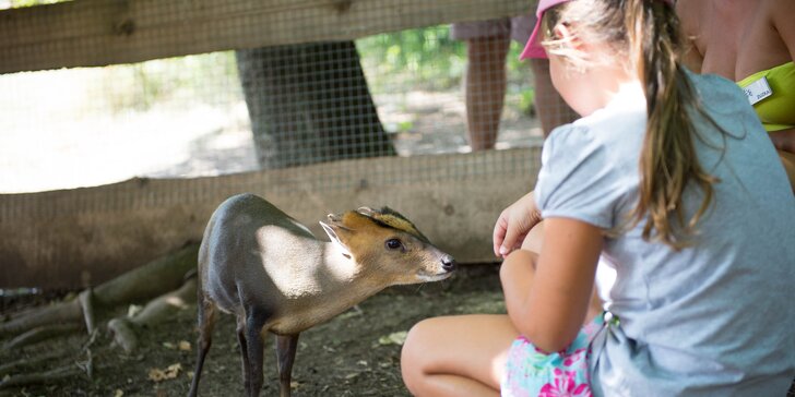 Navštívte s deťmi zvieratká na Minifarme v Lubine