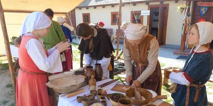 Vstup na hrad Beckov pre 1 dospelú osobu