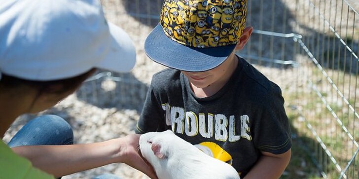 Navštívte s deťmi zvieratká na Minifarme v Lubine
