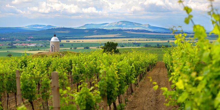 Na južnú Moravu za vínom a wellness: pobyt s polpenziou plný odpočinku