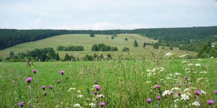 Jeseň na Šumave: chata s infrasaunou pre 15 osôb alebo apartmán pre 3 osoby