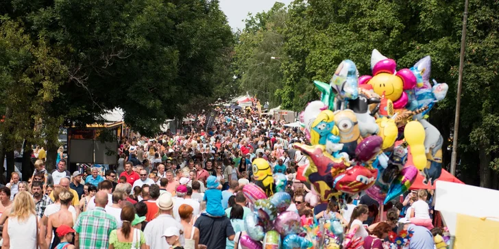 Lístok s prednostným vstupom na výstavu AGROKOMPLEX 2017
