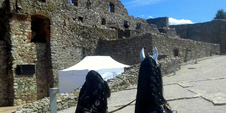 Jazda konským záprahom po Pezinku či okolo Panholca