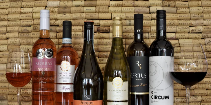Profesionálna degustácia vín so someliérom spoločnosti WINE EXPERT