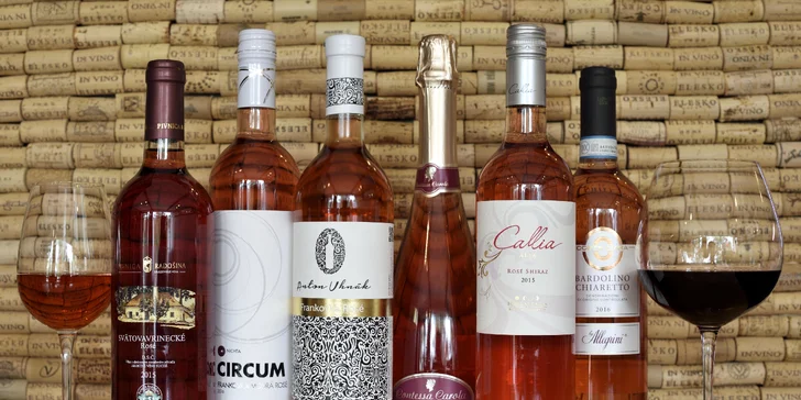Profesionálna degustácia vín so someliérom spoločnosti WINE EXPERT