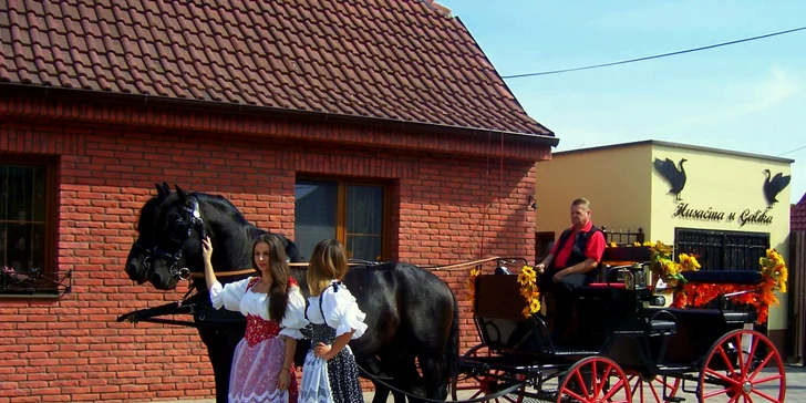 Jazda konským záprahom po Pezinku či okolo Panholca