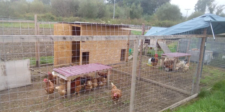 Lekcie jazdenia na koni alebo jazda na vlečke ťahanej traktoríkom
