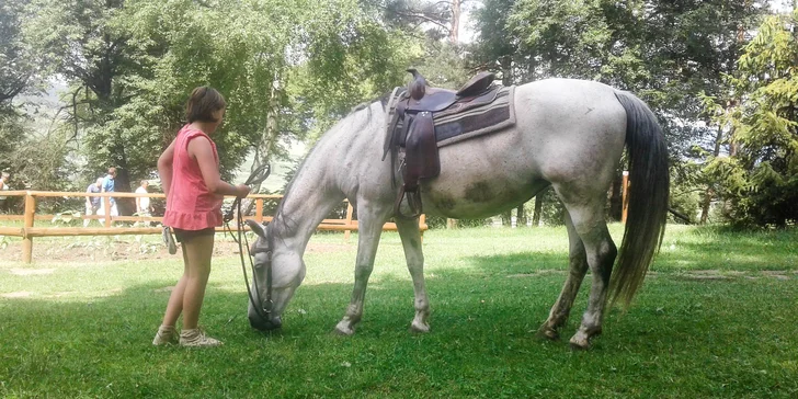 Lekcie jazdenia na koni alebo jazda na vlečke ťahanej traktoríkom