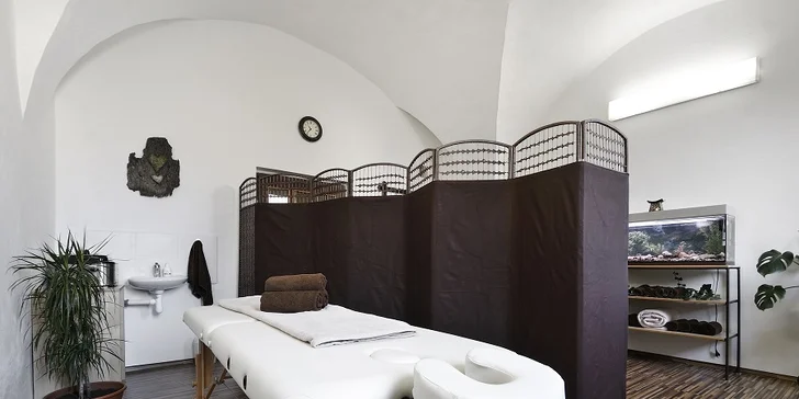 Fyzioterapia s profesionálnou terapeutkou