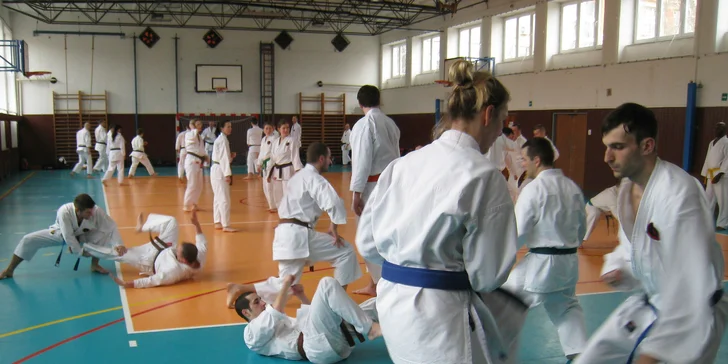 Bojové umenia karate a kobudo: mesačný alebo 3-mesačný tréning