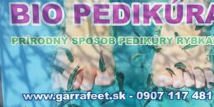 Biopedikúra rybičkami Garra Rufa 60 min. - Michalovce