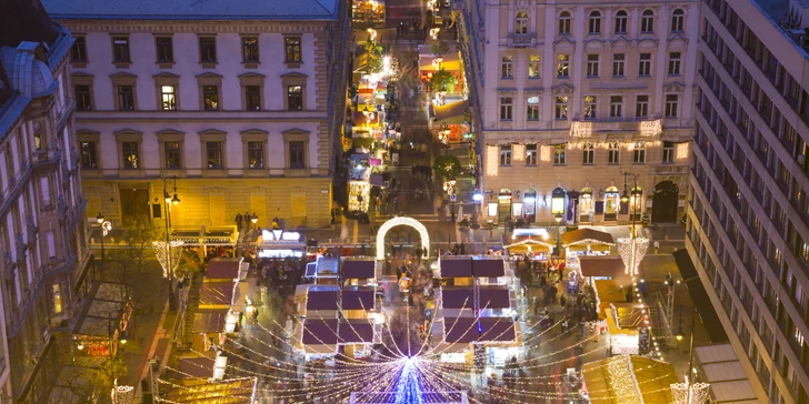 Prehliadka vianočnej Budapešti a Tropicaria so sprievodcom
