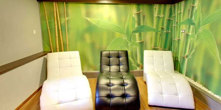 Villa Patriot vo Vyšných Ružbachoch s wellness a komfortným ubytovaním v apartmánoch