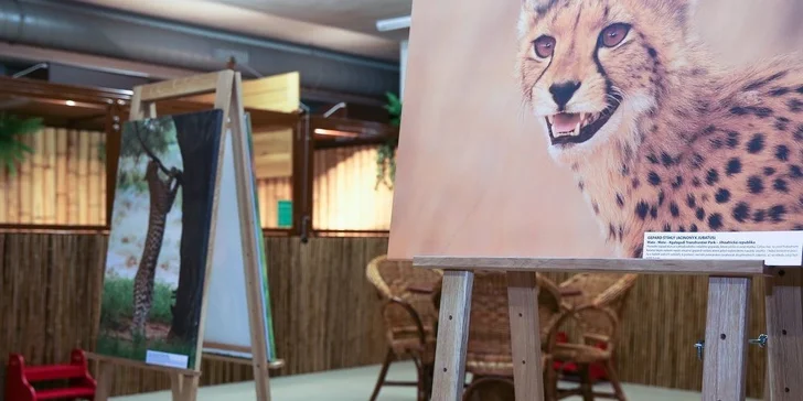 Vstupné do Krokodílej ZOO alebo Vodné plazy naživo