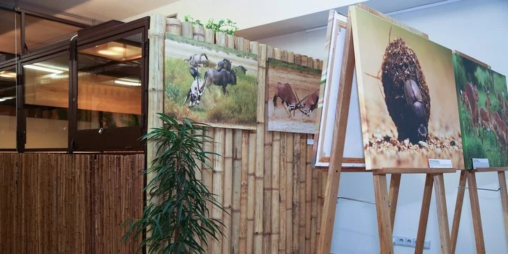 Vstupné do Krokodílej ZOO alebo Vodné plazy naživo