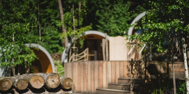 Romantický večer so vstupom do wellness na Zelenej žabe