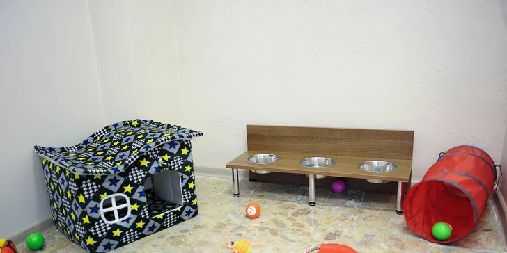 Káva, sladký koláčik alebo limonáda v MaBeTi - príďte aj so psíkom!