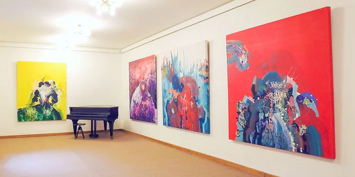 Vstupy do Šarišskej galérie v Prešove pre deti, dospelých aj celé rodiny
