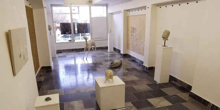 Vstupy do Šarišskej galérie v Prešove pre deti, dospelých aj celé rodiny