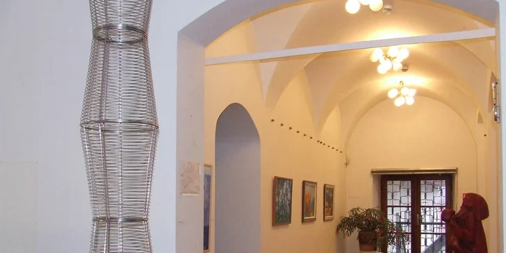 Vstupy do Šarišskej galérie v Prešove pre deti, dospelých aj celé rodiny