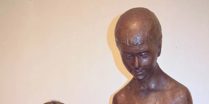 Vstupy do Šarišskej galérie v Prešove pre deti, dospelých aj celé rodiny