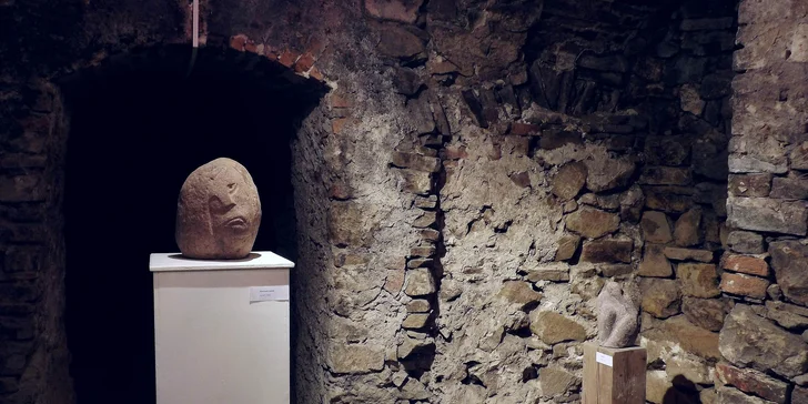 Vstupy do Šarišskej galérie v Prešove pre deti, dospelých aj celé rodiny
