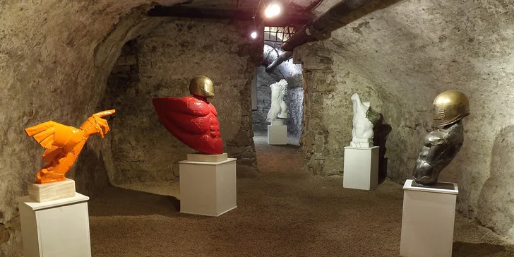 Vstupy do Šarišskej galérie v Prešove pre deti, dospelých aj celé rodiny