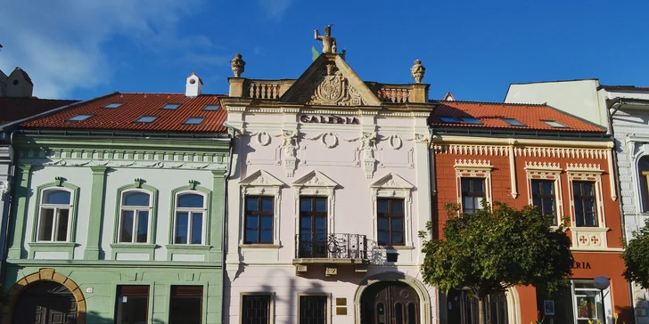 Vstupy do Šarišskej galérie v Prešove pre deti, dospelých aj celé rodiny