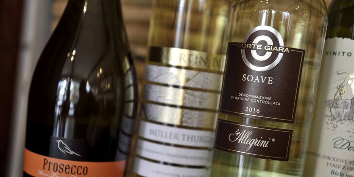 Profesionálna degustácia vín so someliérom spoločnosti WINE EXPERT
