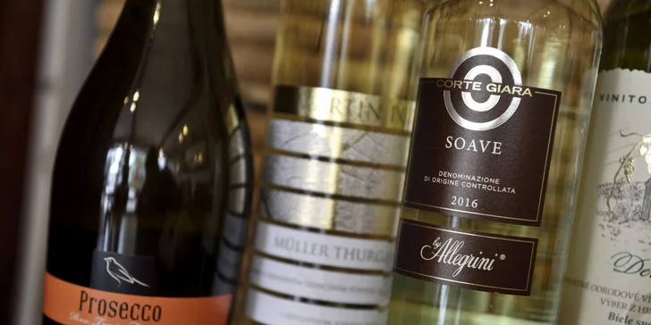 Profesionálna degustácia vín so someliérom spoločnosti WINE EXPERT