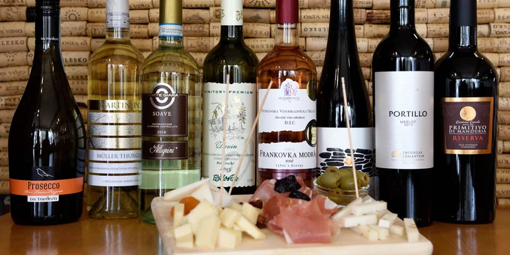 Profesionálna degustácia vín so someliérom spoločnosti WINE EXPERT