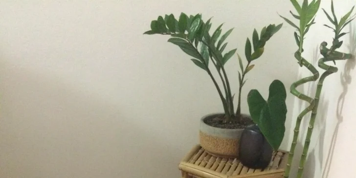 Tradičná japonská Shiatsu procedúra, liečivá masáž