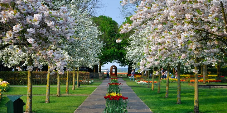 Keukenhof, Zaanse Schans, Volendam, Amsterdam s ubytovaním na 1 noc a raňajkami